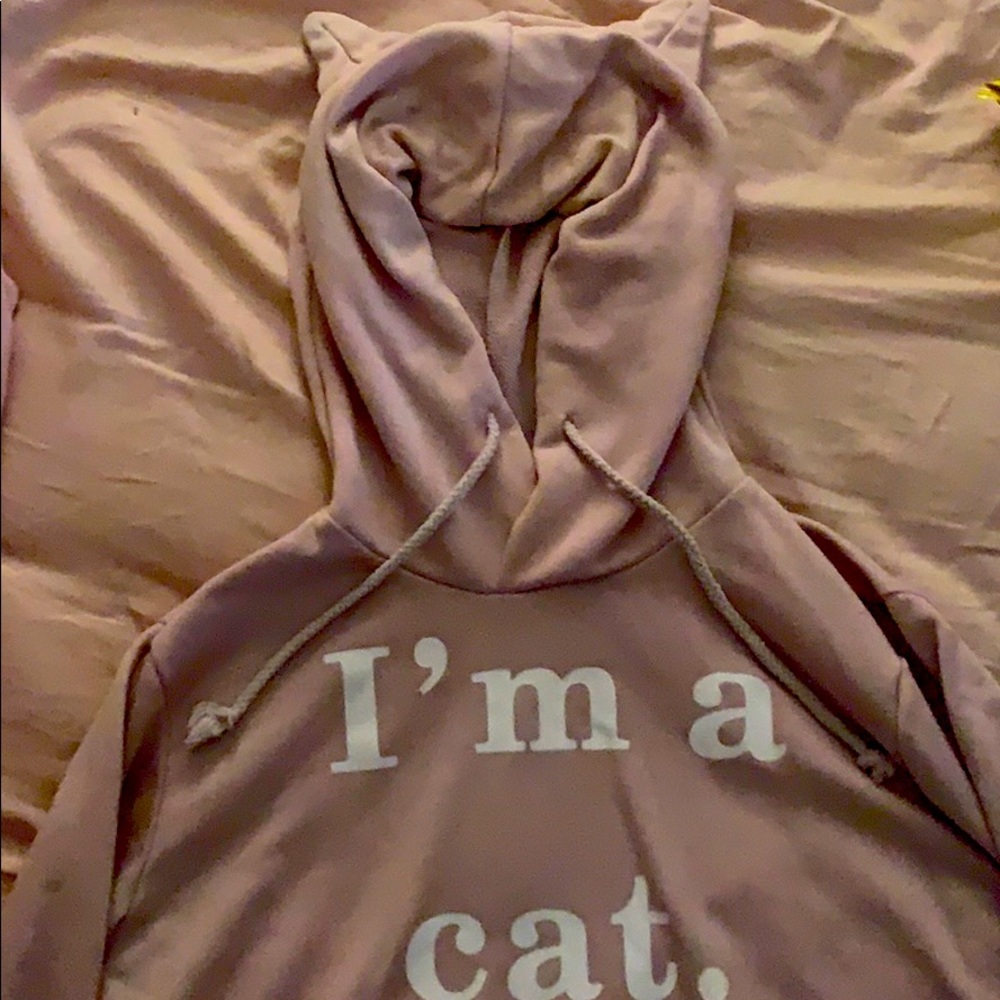 I’m a cat hoodie